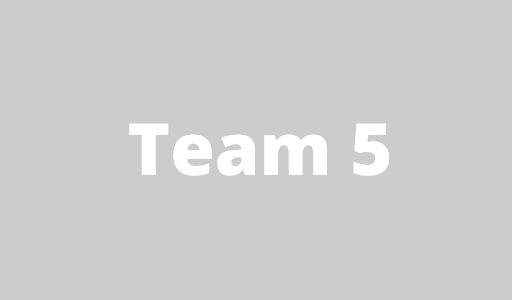 Team 5