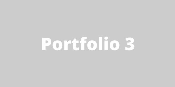 Portfolio 3